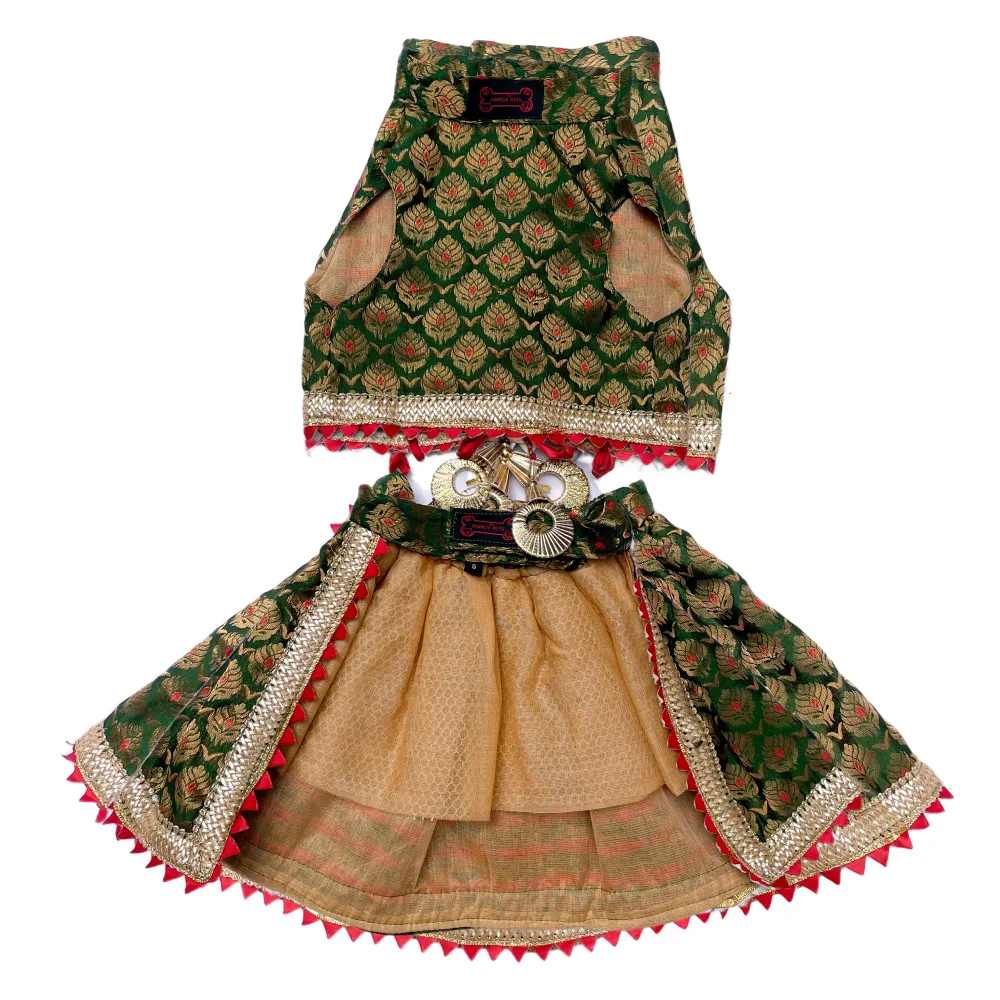Pawgypets Brocade Lehenga for Dogs and Cats (Green)