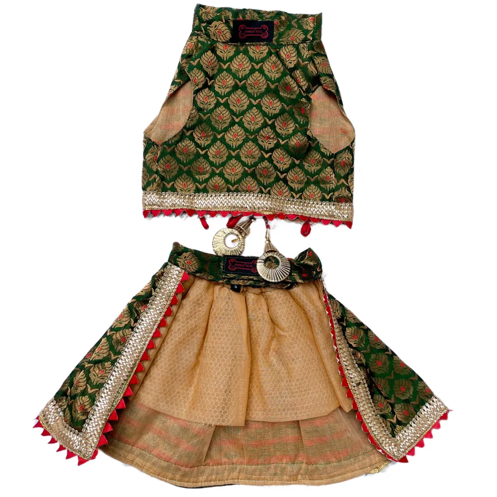 Pawgypets Brocade Lehenga for Dogs and Cats (Green)