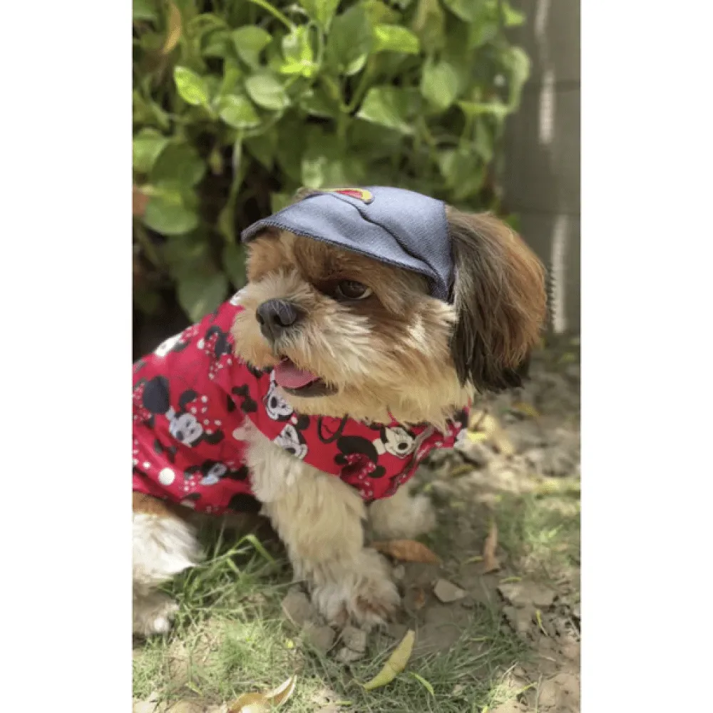 Pawgypets Cap for Dogs and Cats (Denim)