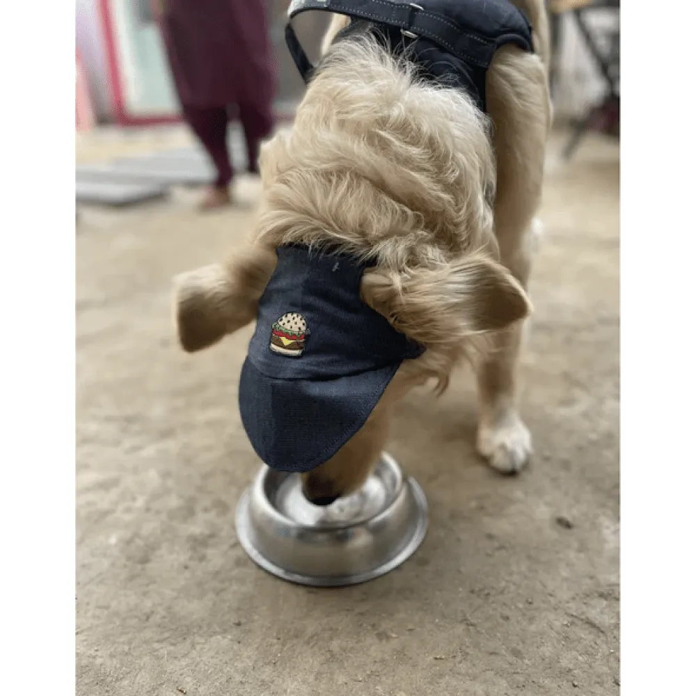 Pawgypets Cap for Dogs and Cats (Denim)