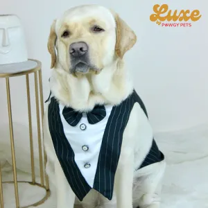 Pawgypets Luxe Stripe Bowtie Tuxedo for Dogs and Cats (Black)