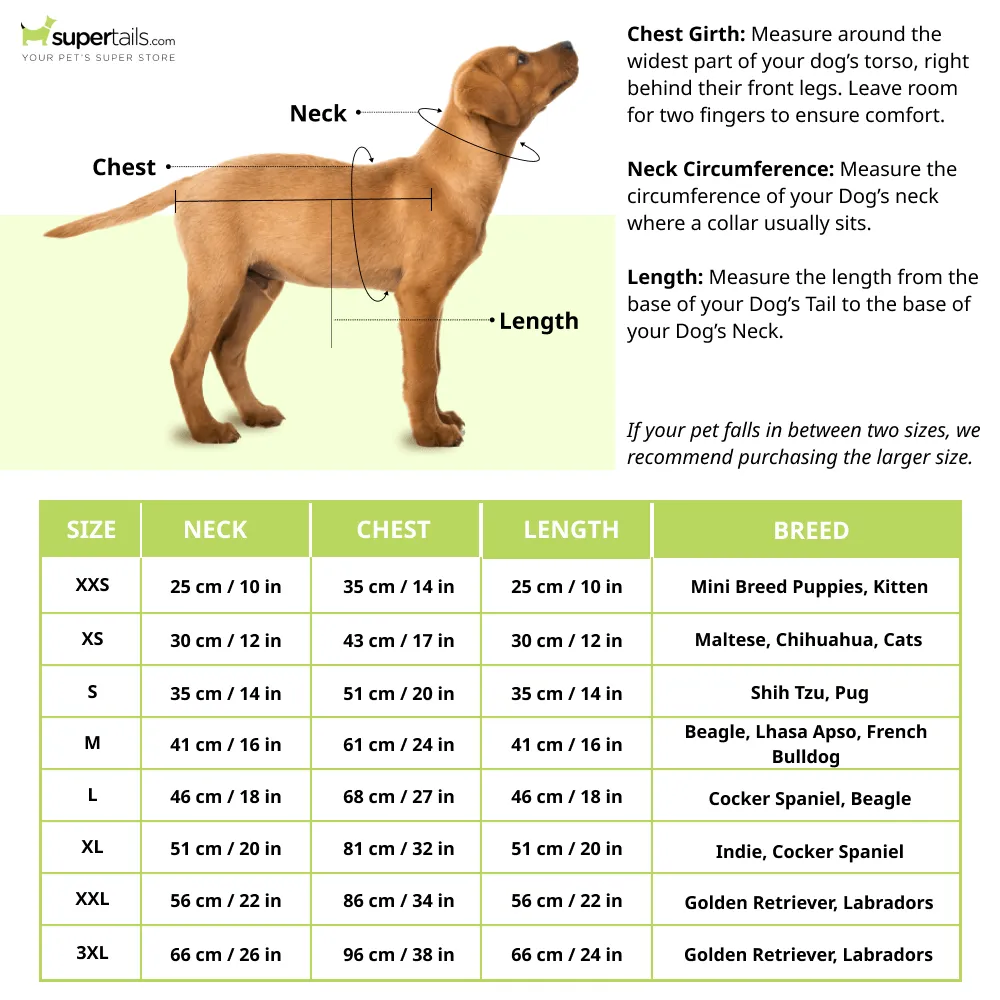 Pawgypets Occasion Wear Shirt for Dogs and Cats (White)