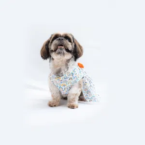 Pawgypets Rainbow Casual Dress for Dogs and Cats