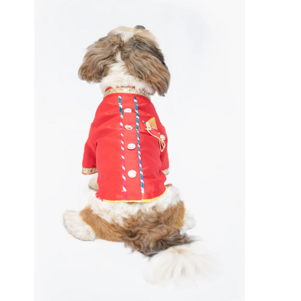 Pawgypets Raw Silk Sherwani for Dogs and Cats (Red)