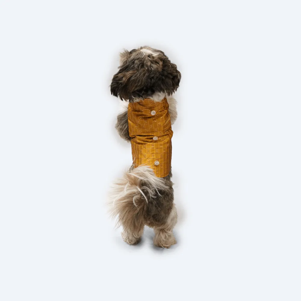 Pawgypets Strapy Sherwani for Dogs and Cats (Mustard)