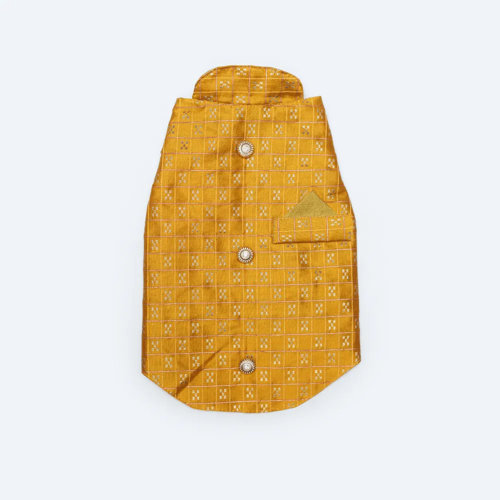 Pawgypets Strapy Sherwani for Dogs and Cats (Mustard)