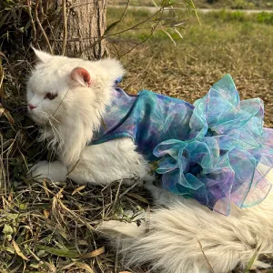 Pawgypets Tie and Dye Frilly Dress for Cats (Blue)
