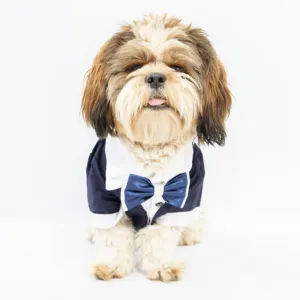 Pawgypets Tuxedo for Dogs and Cats (Blue)