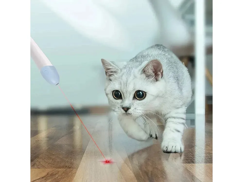PAWISE  2 in1 cat wand teaser Pets Qatar