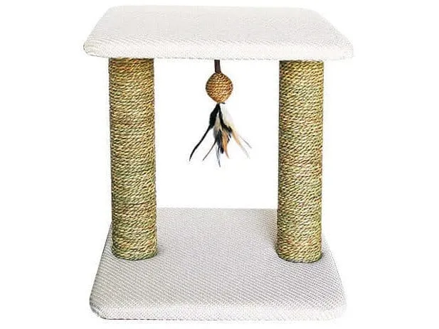PAWISE  cat hens 40x40x46cm Pets Qatar