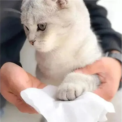 PAWISE  Cleaning Wipes Eyes  (15 sheets) Pets Qatar