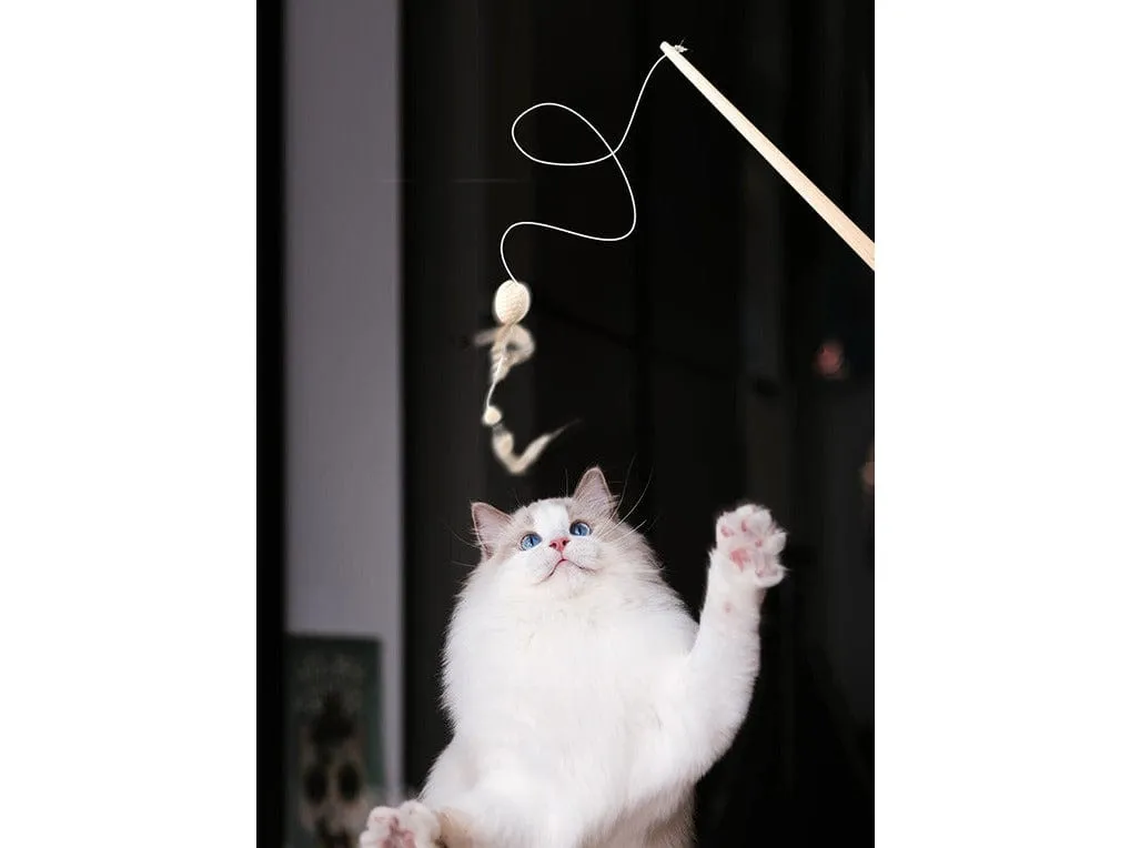 PAWISE  nature first cat toy 35.5x9.5cm Pets Qatar