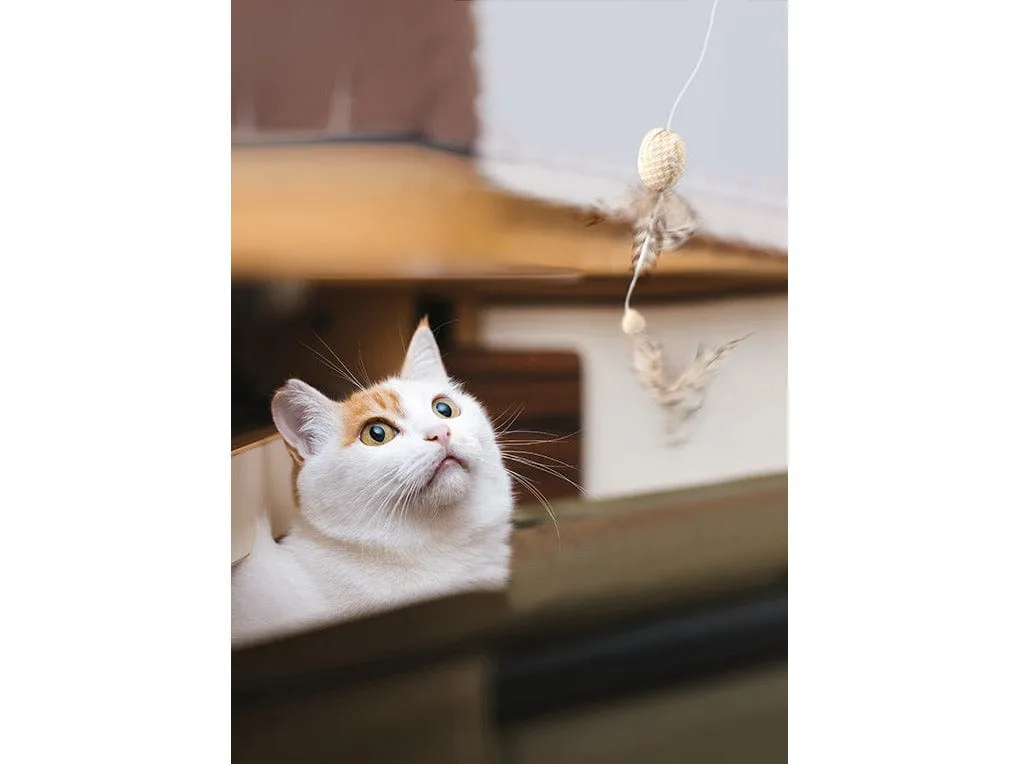 PAWISE  nature first cat toy 35.5x9.5cm Pets Qatar
