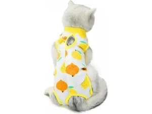 Pet Clothes Lemon Pets Qatar