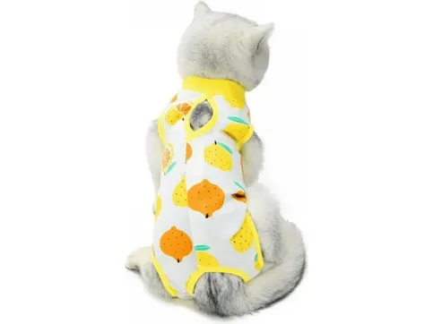 Pet Clothes Lemon Pets Qatar