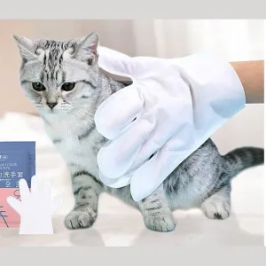 Pet Hands-Free Set (Two Pieces) Pets Qatar