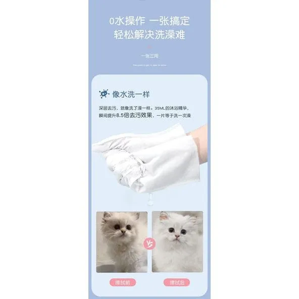 Pet Hands-Free Set (Two Pieces) Pets Qatar
