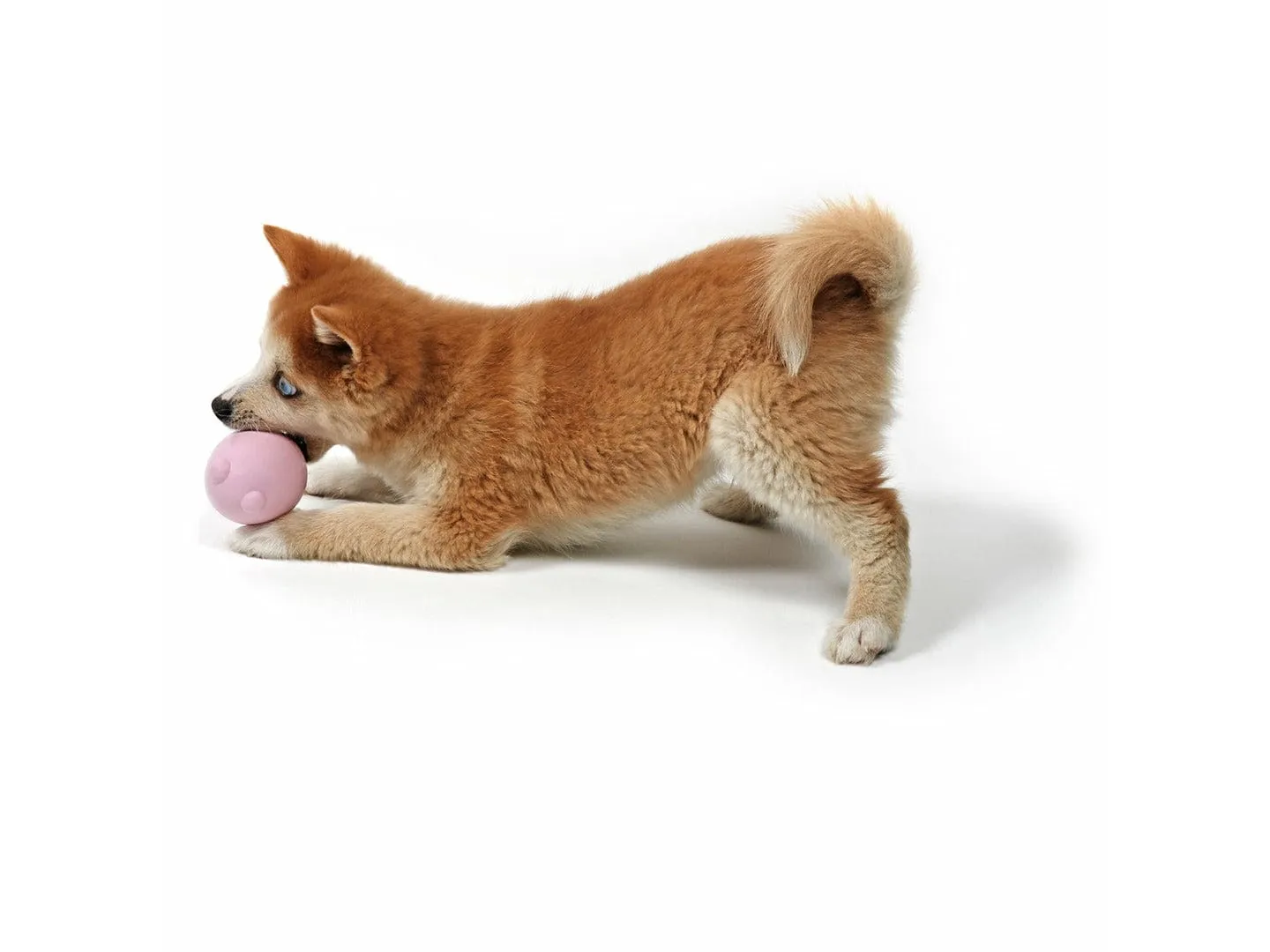 PETIT TUMBLE TOY BALU 8x6x6cm pink Pets Qatar