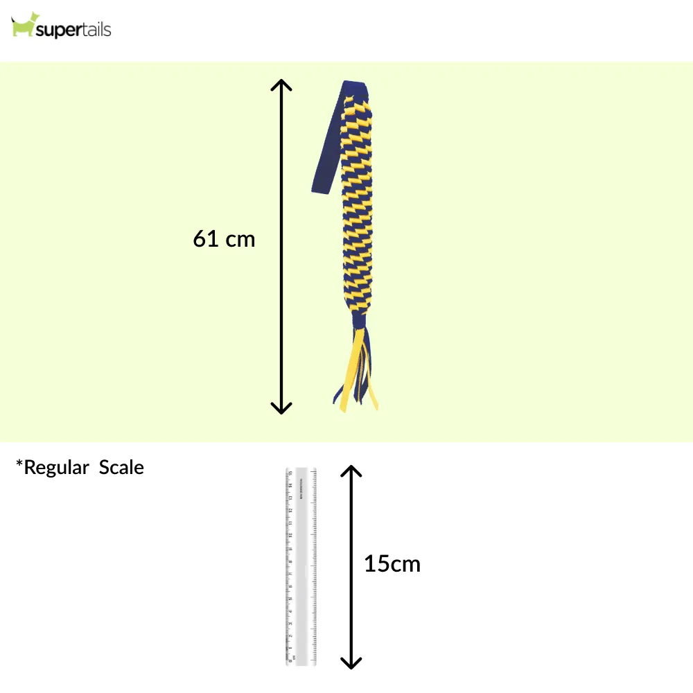 Petsport Twisted Chew Spring Tug Toy for Dogs