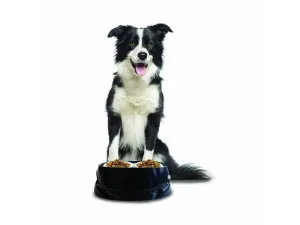 PLASTIC BOWL MIXED ASSORTMENT Pets Qatar