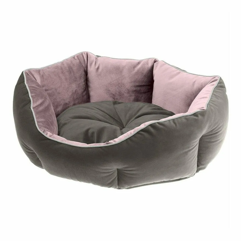 Queen 45 Purple Grey Door Pets Qatar