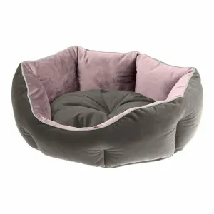 Queen 45 Purple Grey Door Pets Qatar