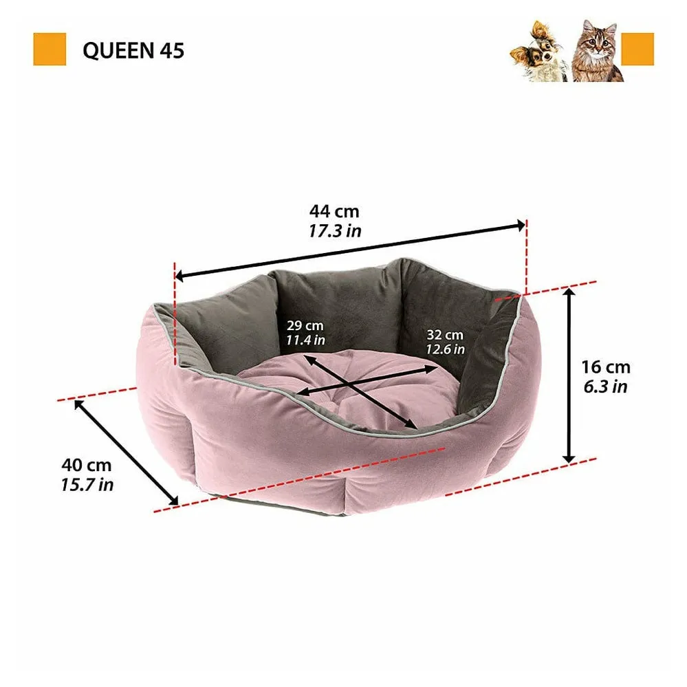 Queen 45 Purple Grey Door Pets Qatar