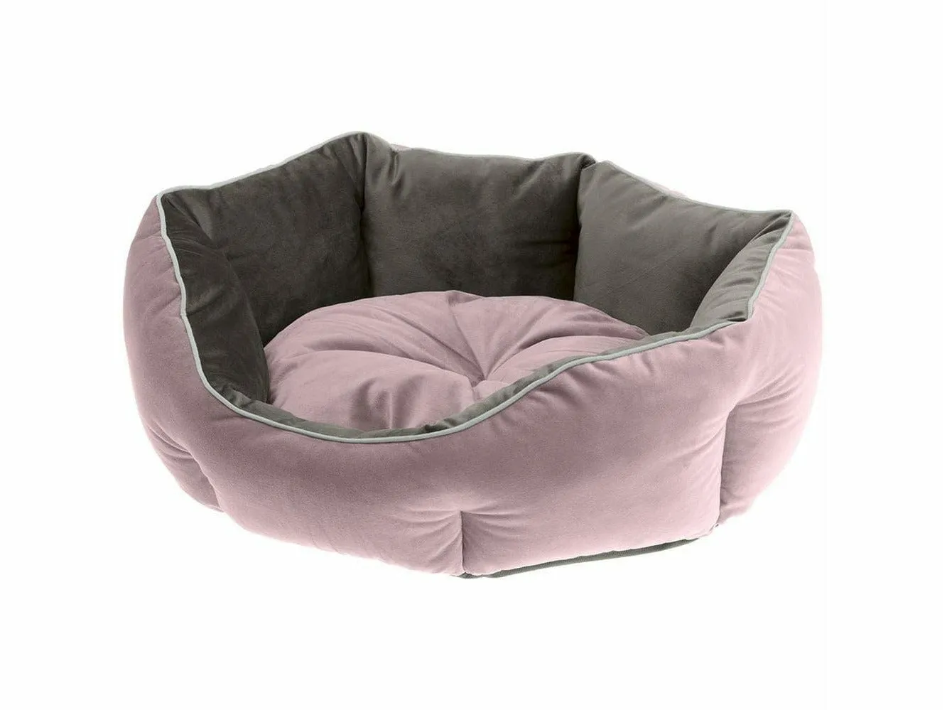 QUEEN 50 CUCCIA VIOLA-GRIGIO Pets Qatar