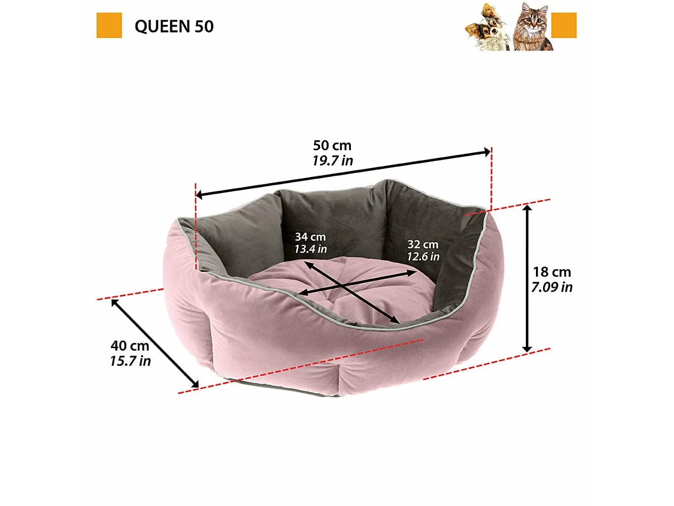QUEEN 50 CUCCIA VIOLA-GRIGIO Pets Qatar