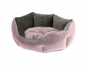 QUEEN 50 CUCCIA VIOLA-GRIGIO Pets Qatar