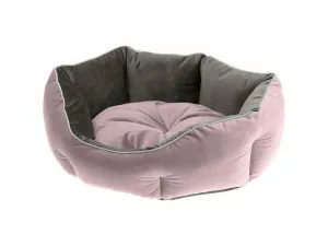Queen 60 Purple Grey Door Pets Qatar