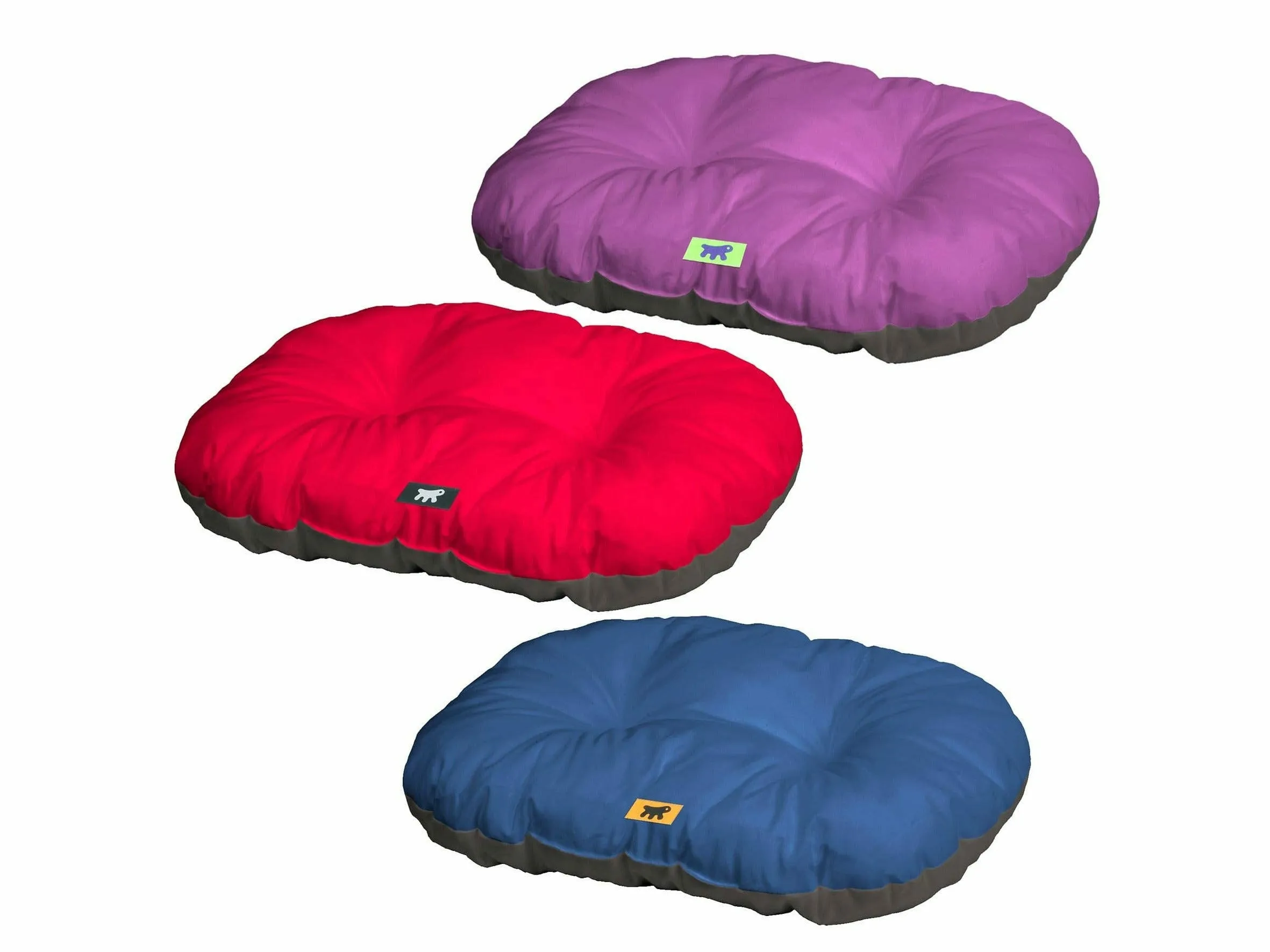 Relax 45/2 C Red Purple Blue Pets Qatar