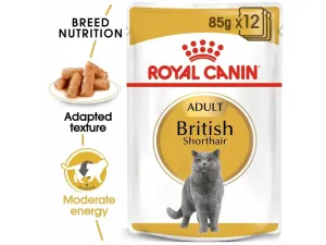 Royal Canin Feline Breed Nutrition British Shorthair 85g Pets Qatar