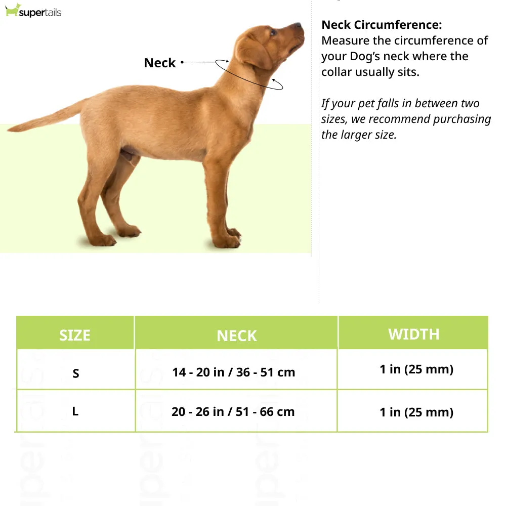 Ruffwear Confluence Waterproof Collar for Dogs (Red Sumac)