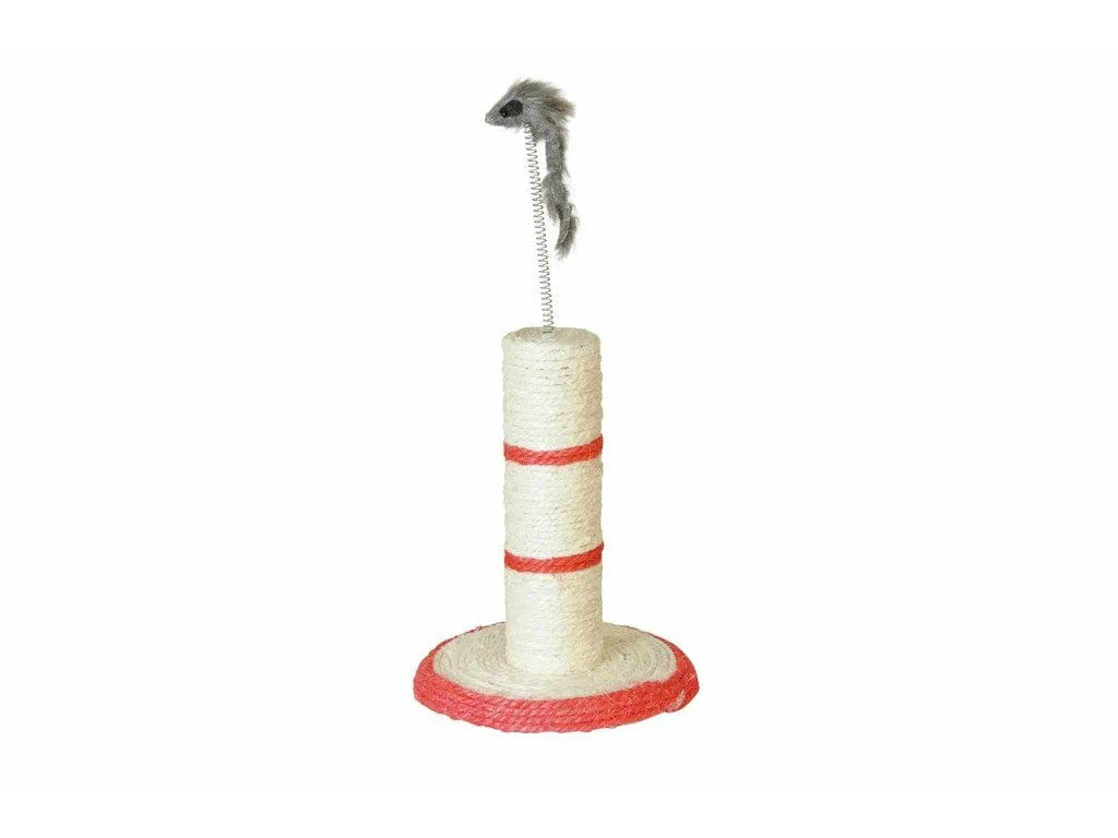 Scrat.Board W.Spring*D21X38Cm Pets Qatar