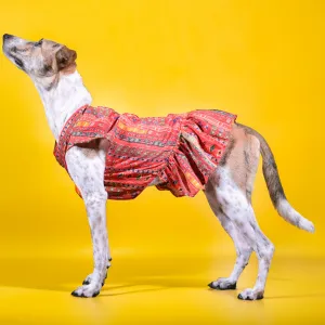 Skatrs Cotton Printed Dress for Dogs and Cats (Red)