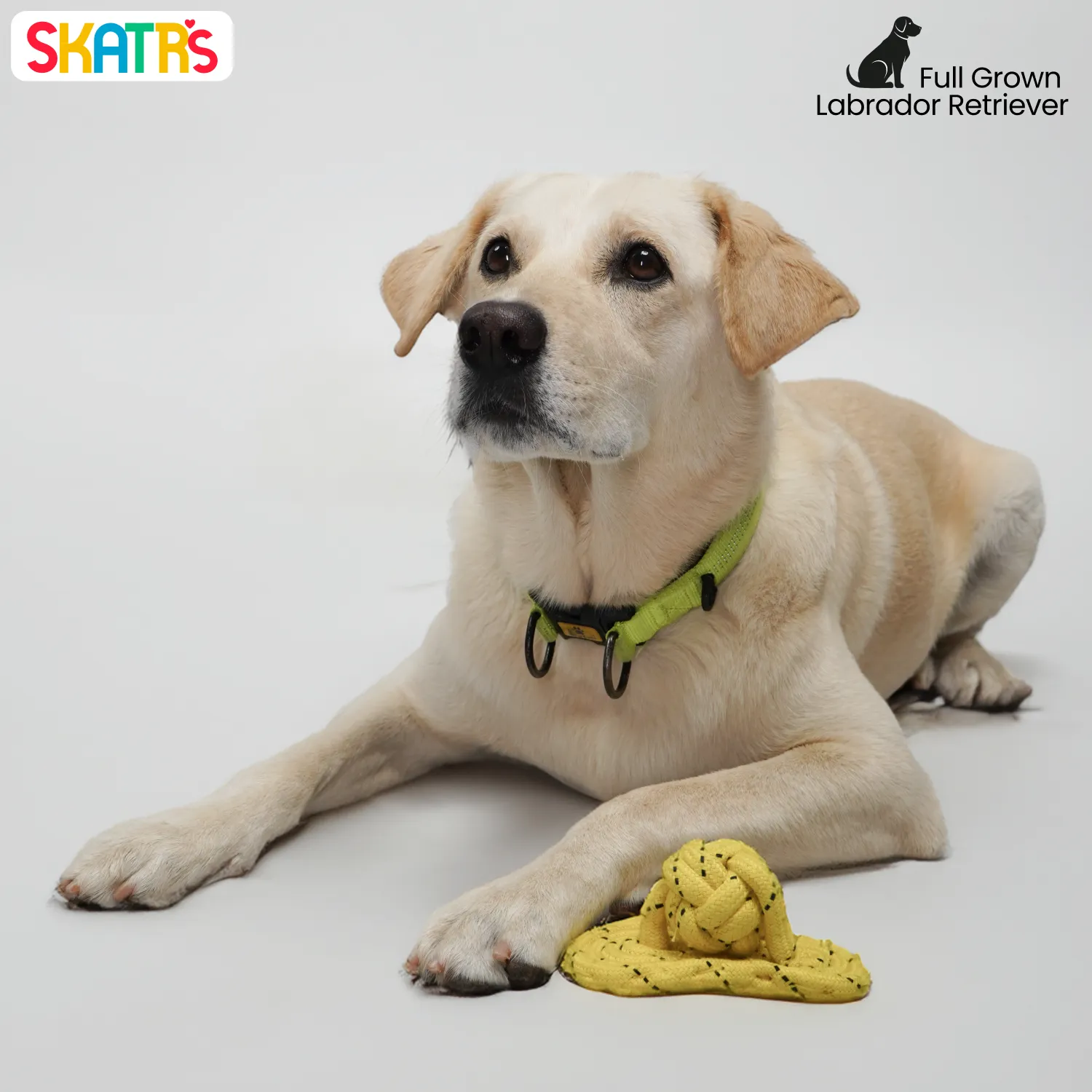 Skatrs Sandal Shaped Hand Made, Durable Rope Chew Toy for Dogs & Cats (Light Yellow)