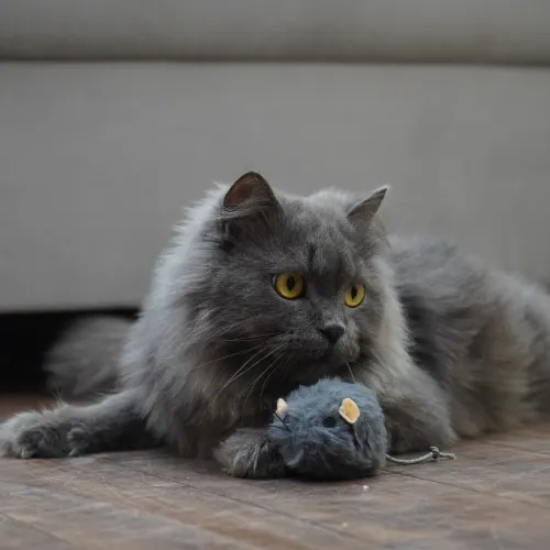 Skatrs Wiggle MouseToyforCats (Grey)