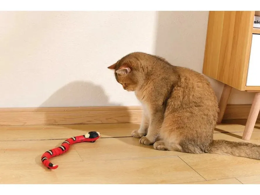 Sneaky Snake Interactive Cat Toy Pets Qatar