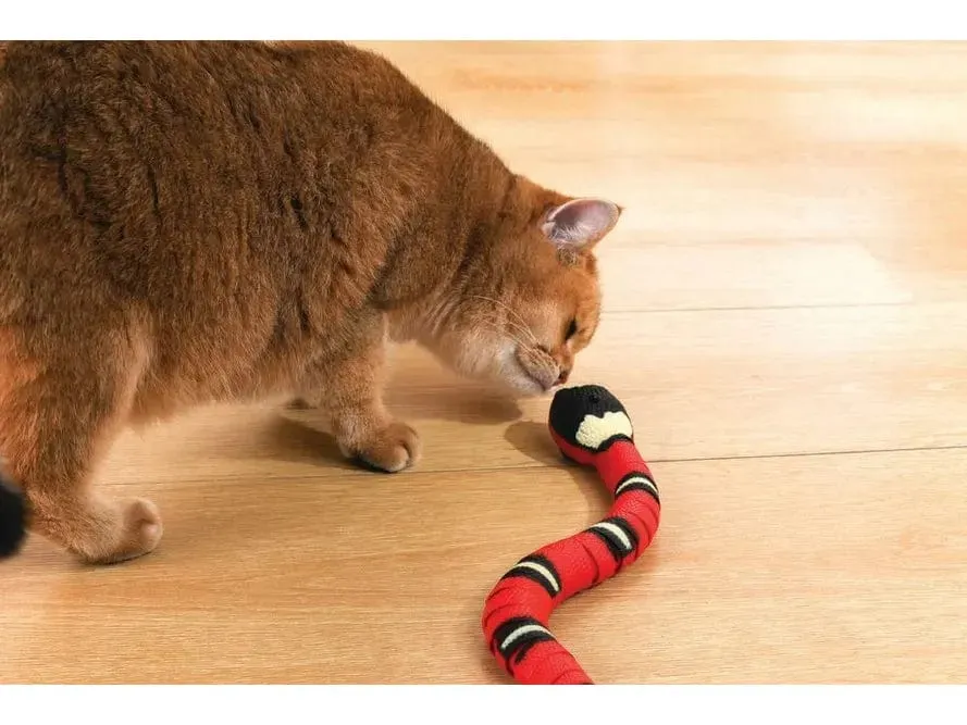Sneaky Snake Interactive Cat Toy Pets Qatar