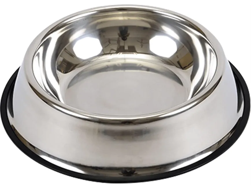 Stainless Steel Dog Bowl Pets Qatar