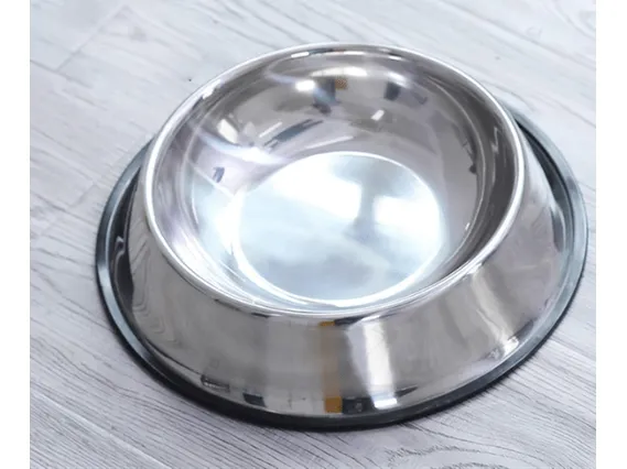Stainless Steel Dog Bowl Pets Qatar