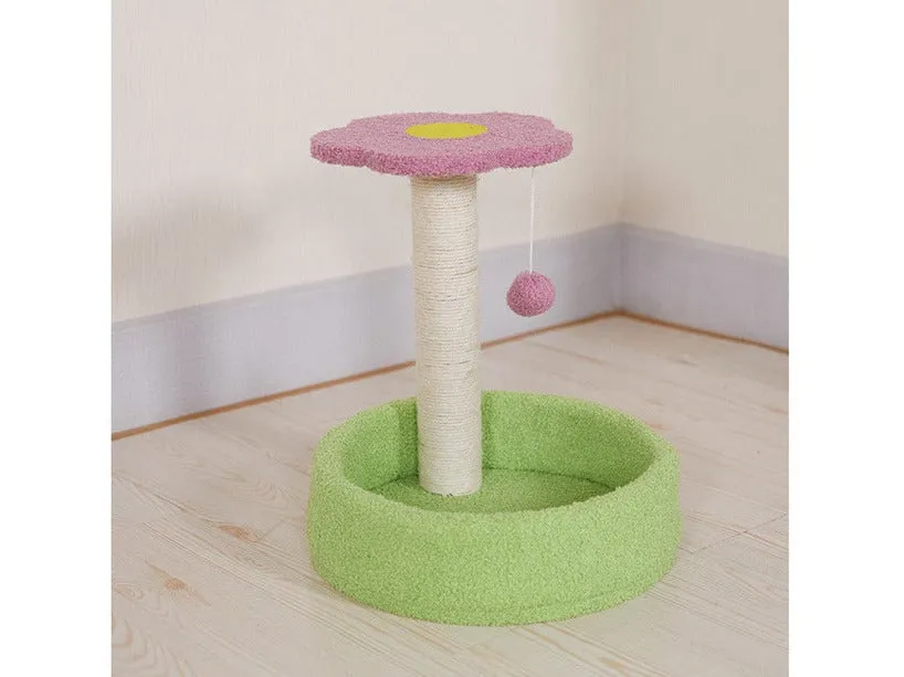 Teddy Velvet 35X35X38Cm Pets Qatar