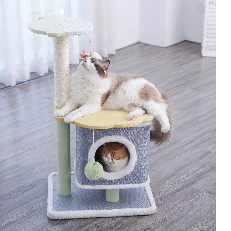 The Colorful Shell House of Cats and Fish S -50*42*84cm Pets Qatar