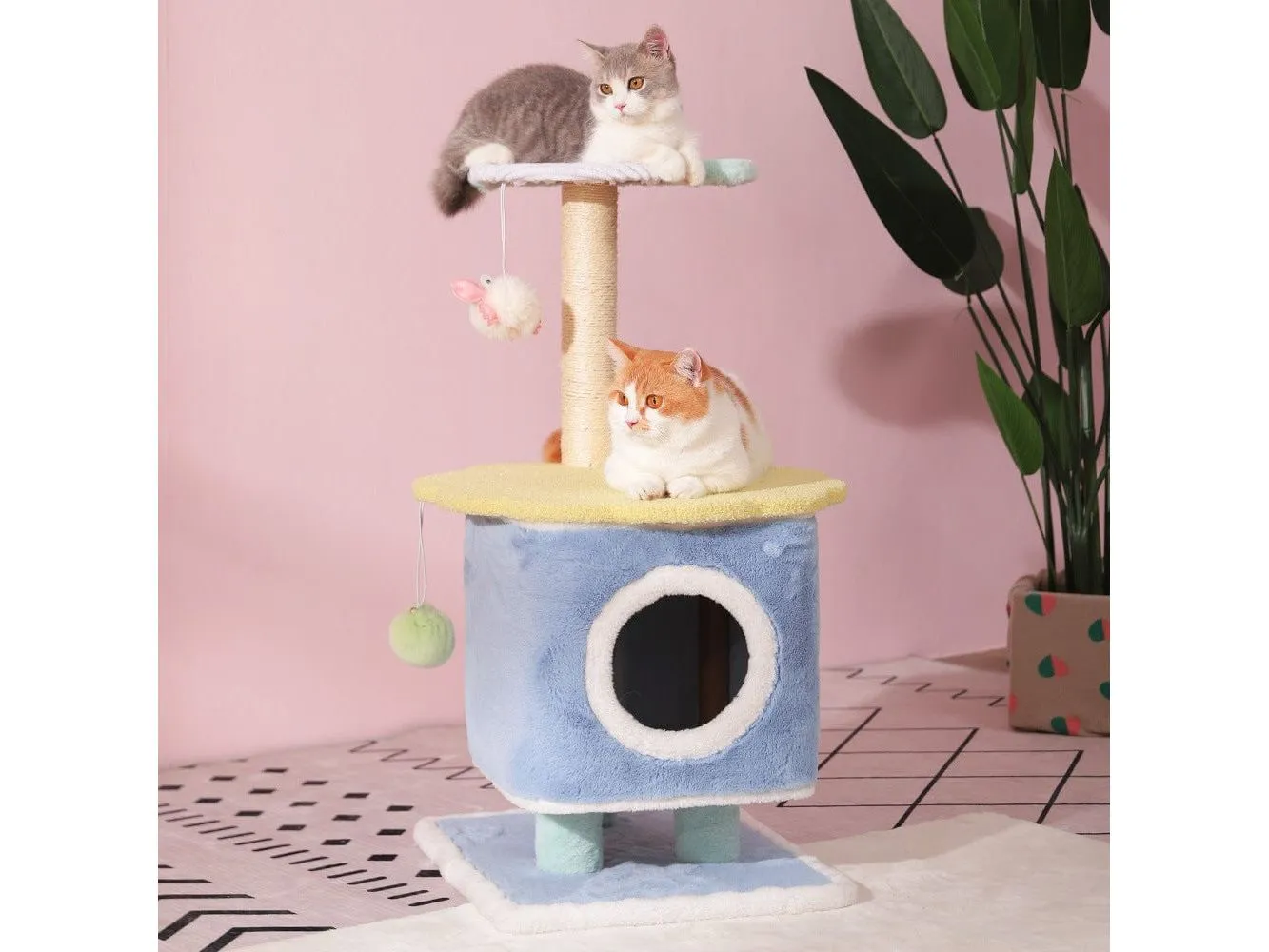 The Shell House of Cats and Fish in Winter S-58*40*h84 Pets Qatar