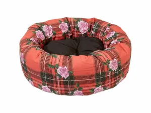 Toffee 50 Cushion Pets Qatar
