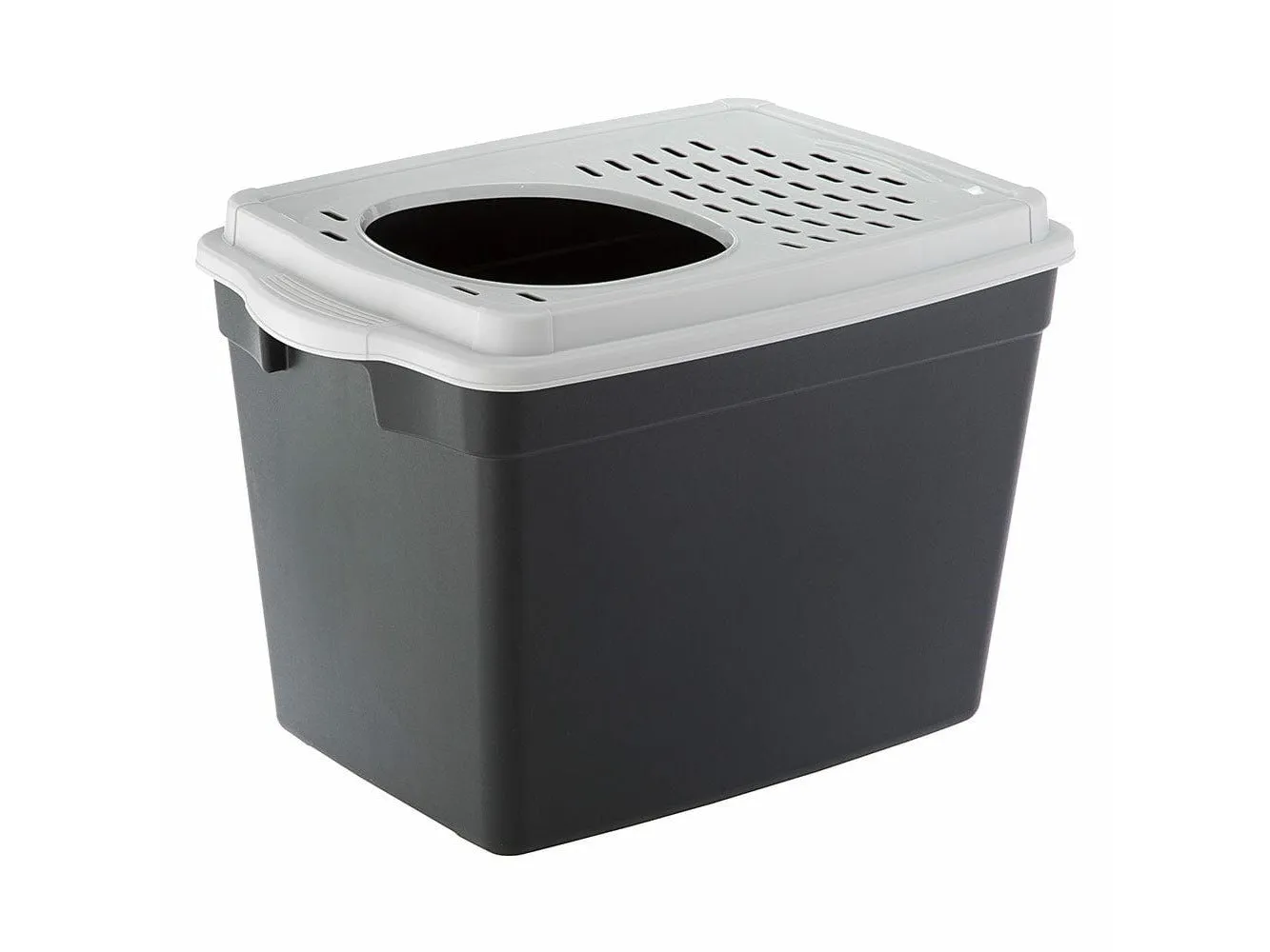 Toilet Home Jumpy Pets Qatar