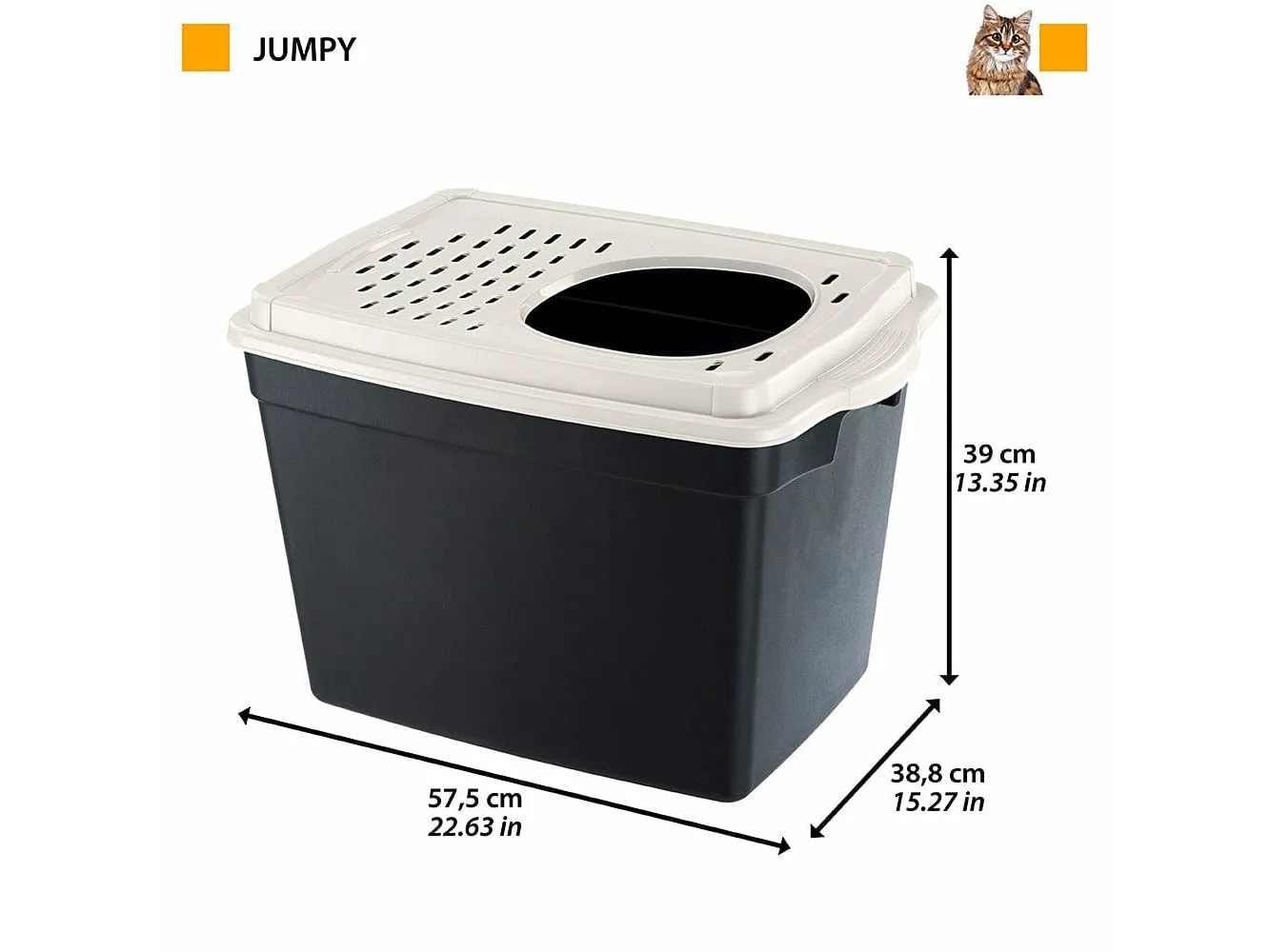 Toilet Home Jumpy Pets Qatar