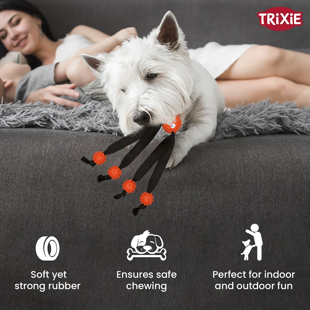 Trixie Ball with Strap Legs for Dogs (Orange)