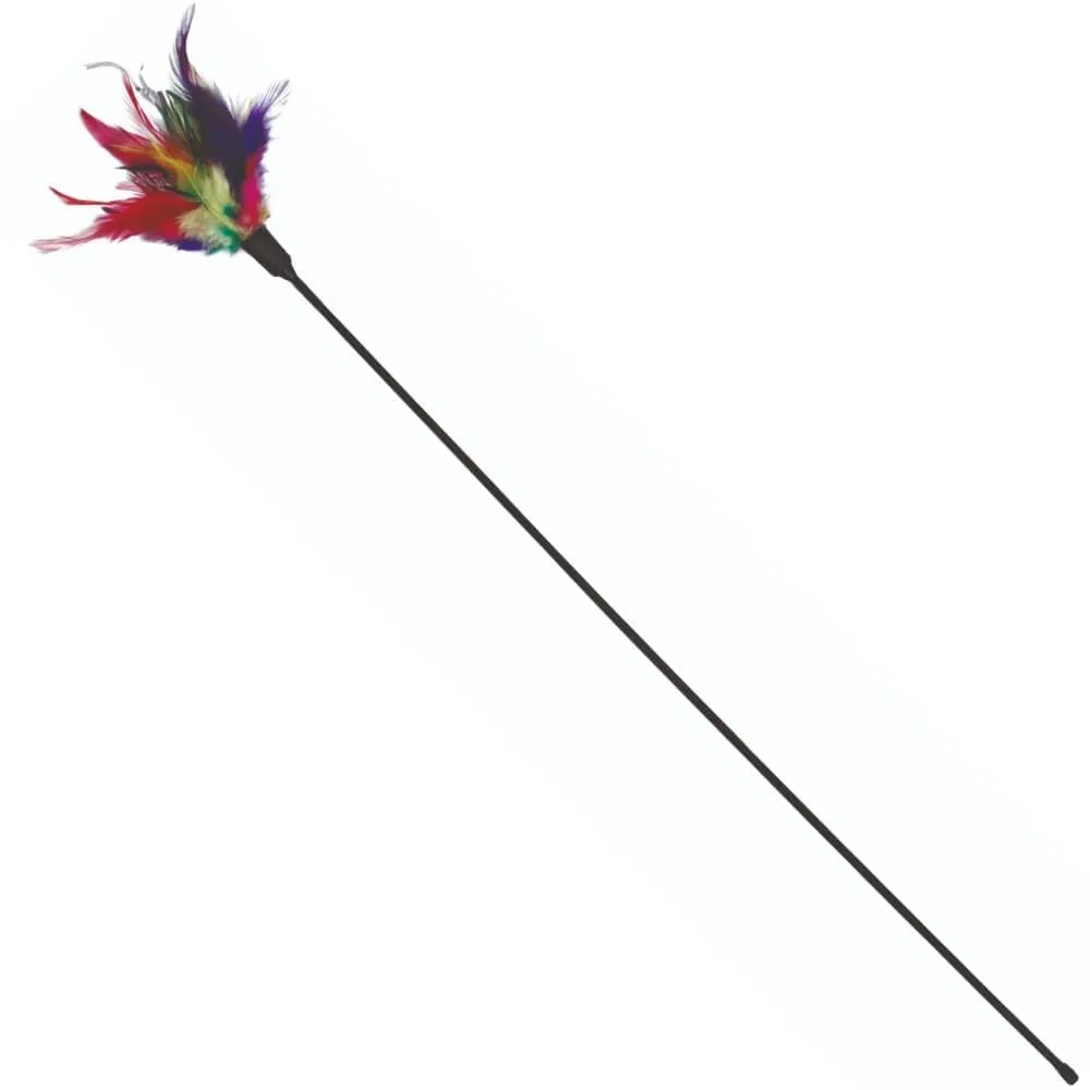 Trixie Playing Rod with Feathers and Leather Straps Toy for Cats Combo